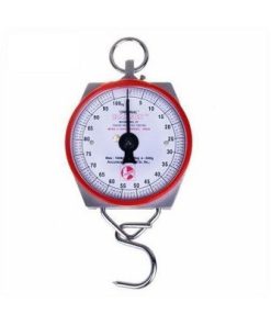 Hannson Analogue Scale 100kg